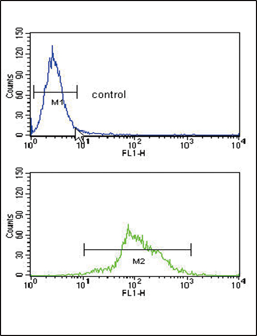 HADHA Rabbit Polyclonal Antibody C Term